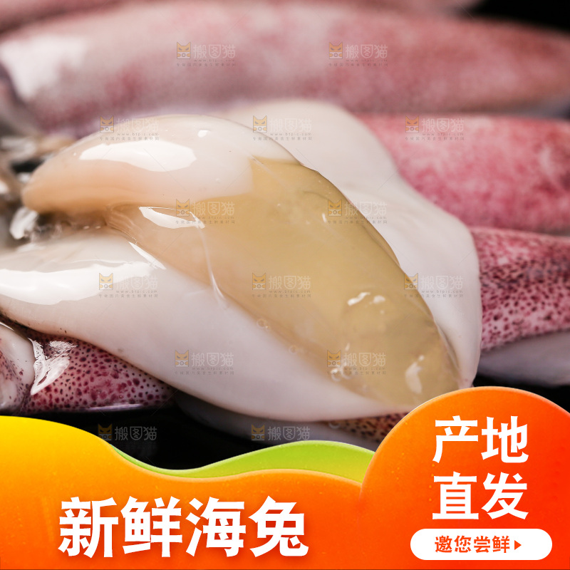 黑底上的海兔