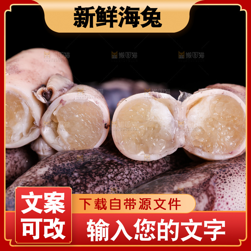 黑底上的海兔