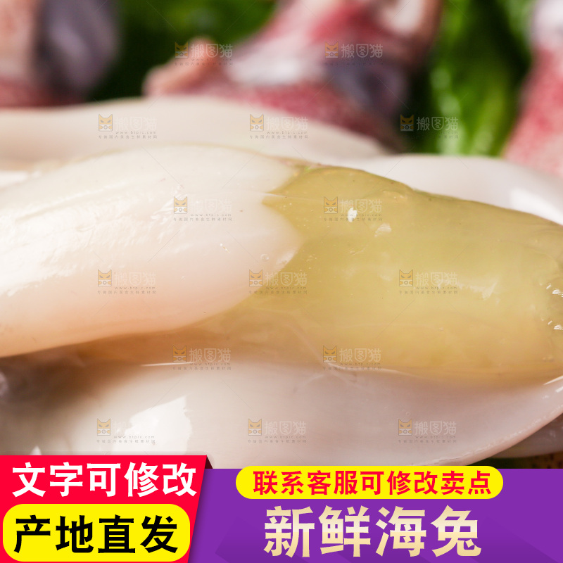 深底上的海兔