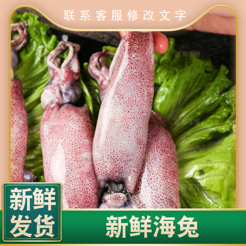深底上的海兔