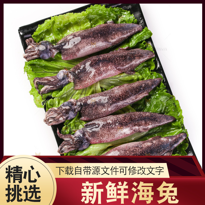 白底上的海兔