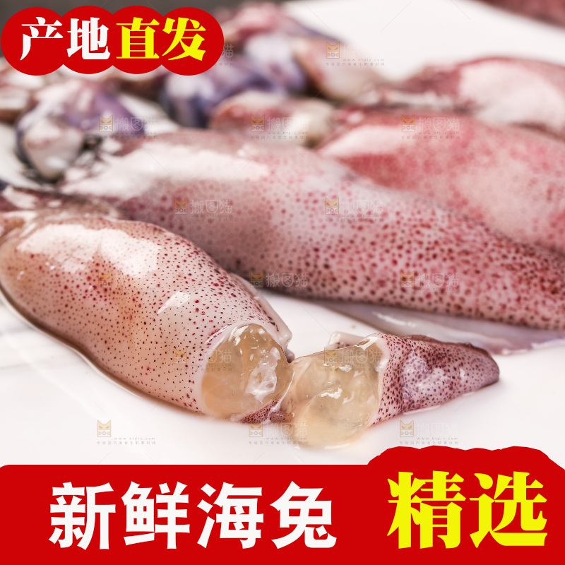 深底上的海兔