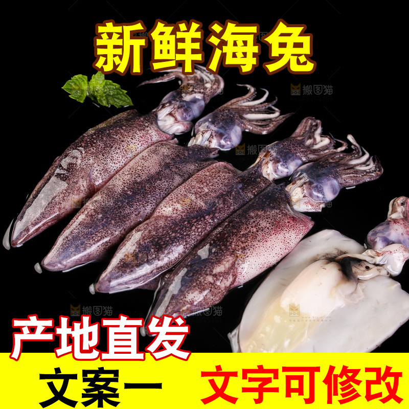 黑底上的海兔