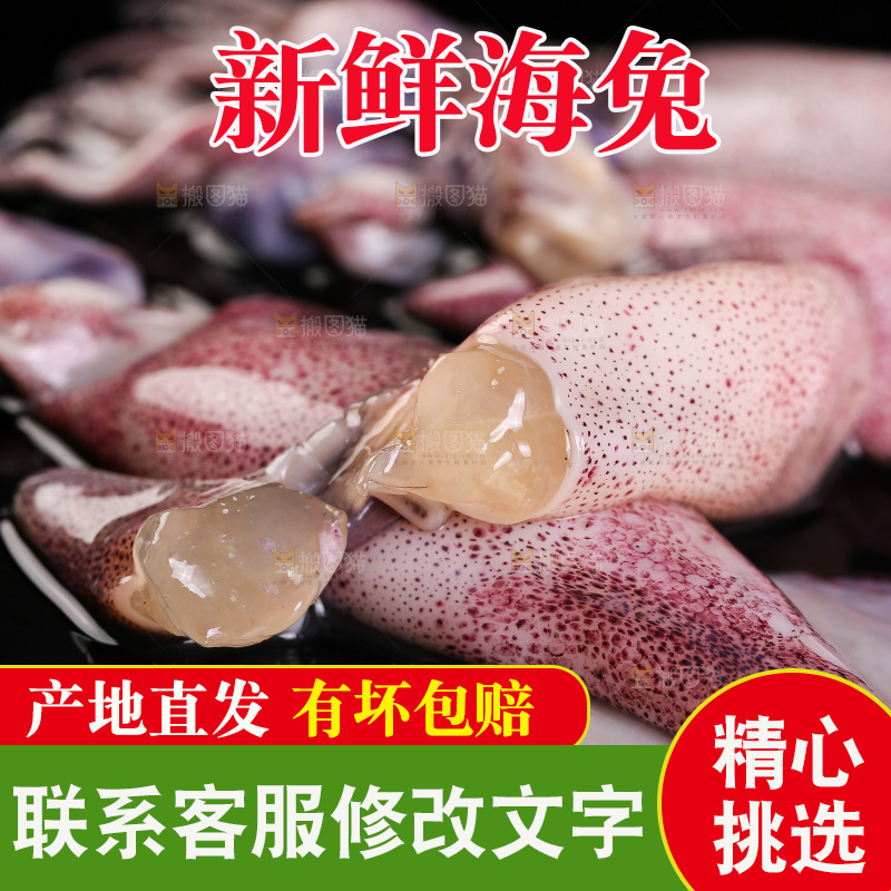 黑底上的海兔