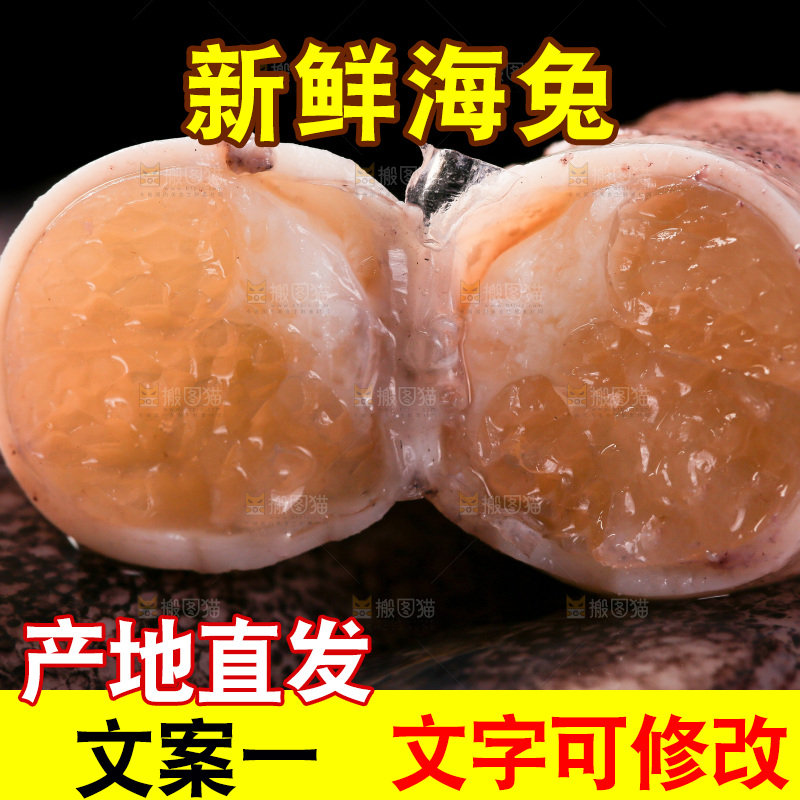黑底上的海兔