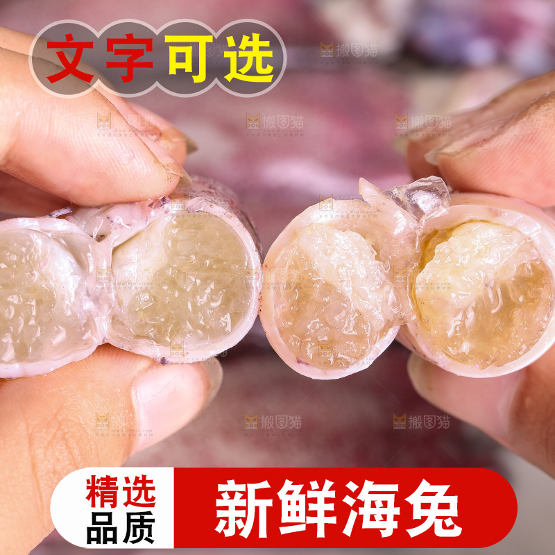 深底上的海兔