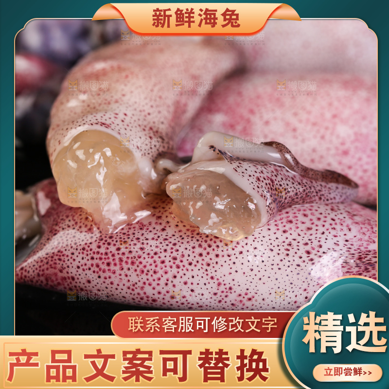 黑底上的海兔