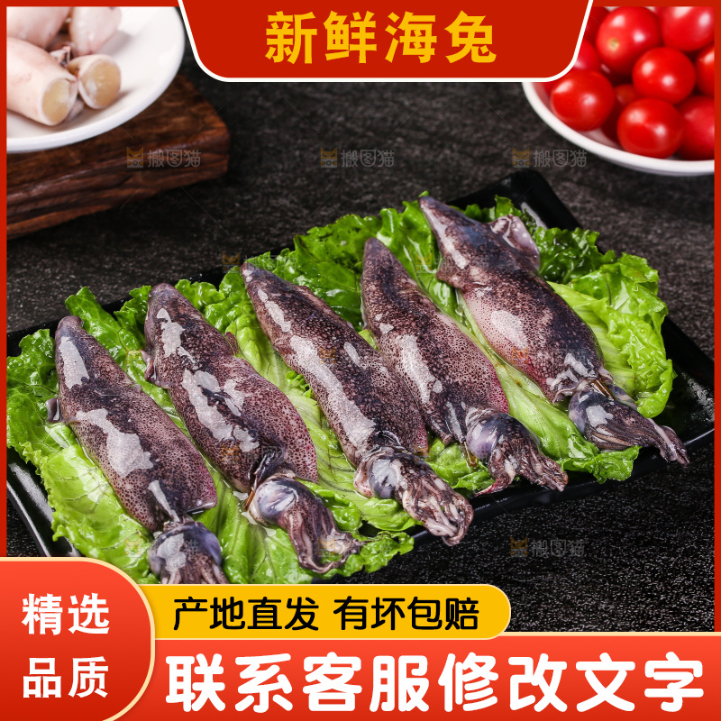 深底上的海兔