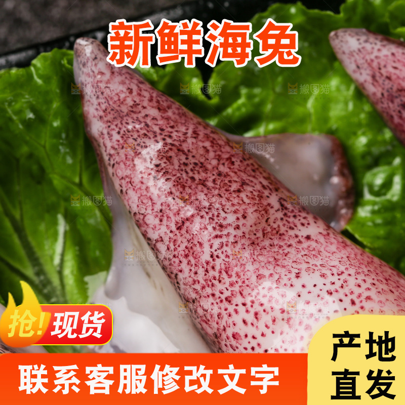 深底上的海兔