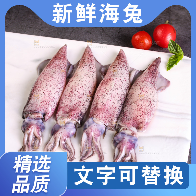 深底上的海兔