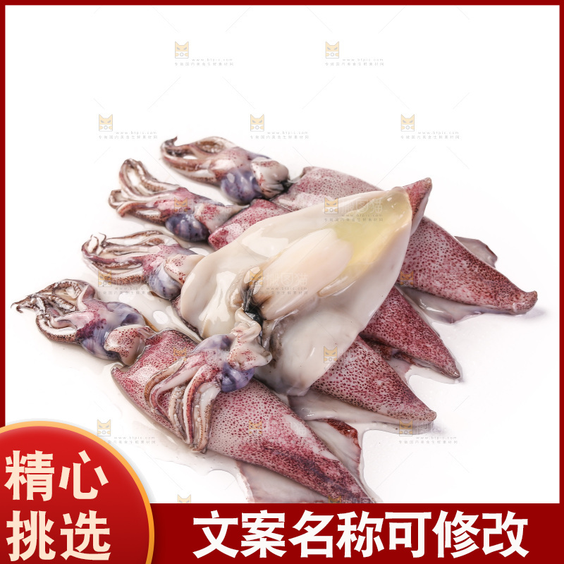 白底上的海兔