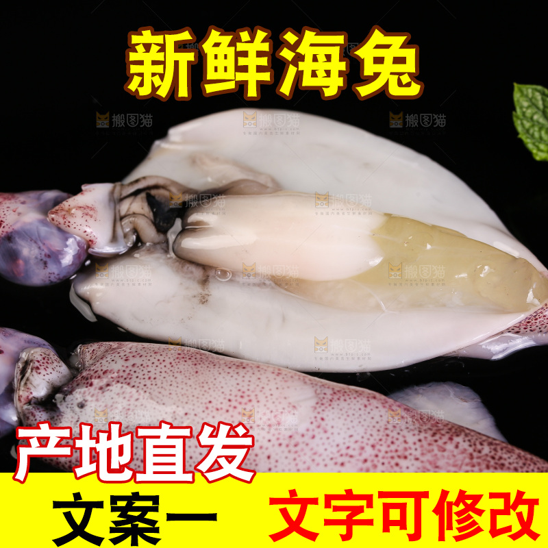 黑底上的海兔