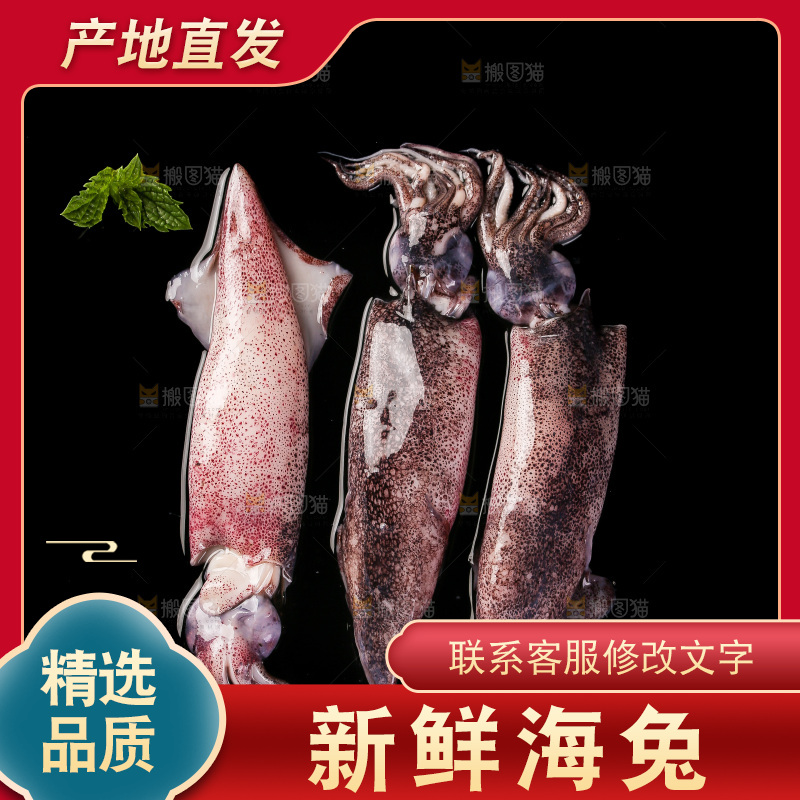 黑底上的海兔