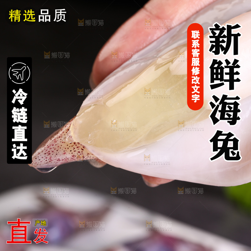 深底上的海兔
