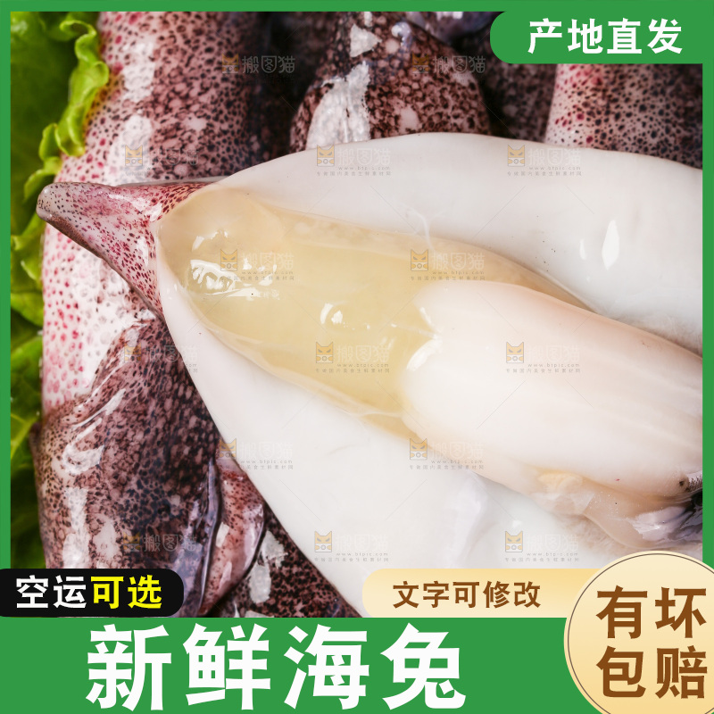 黑底上的海兔