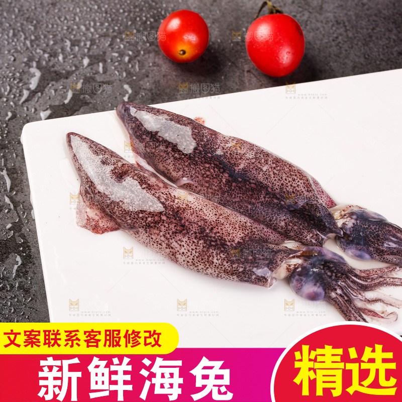 深底上的海兔