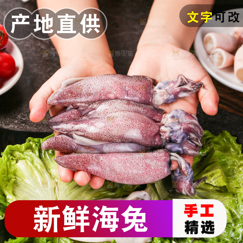 深底上的海兔