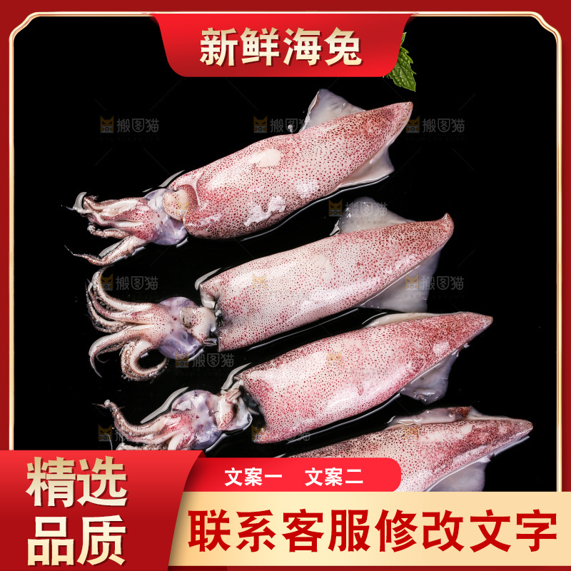 黑底上的海兔