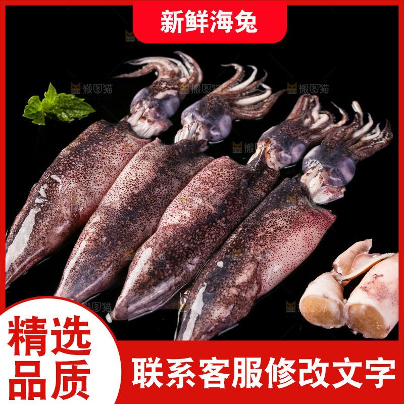 黑底上的海兔