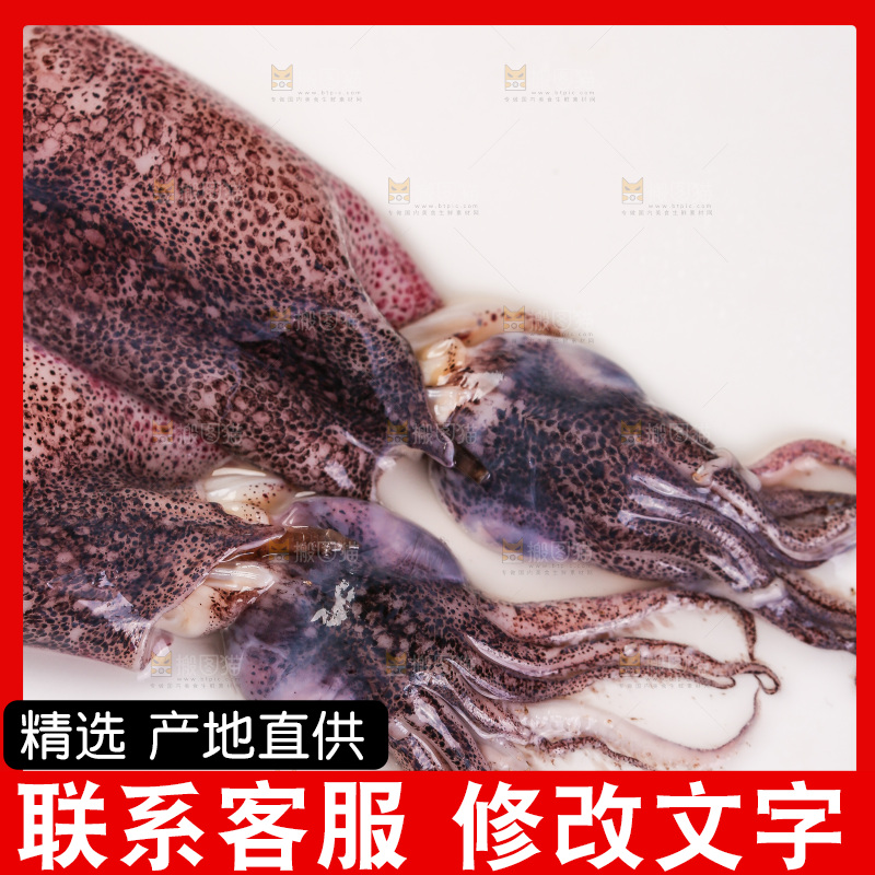 深底上的海兔
