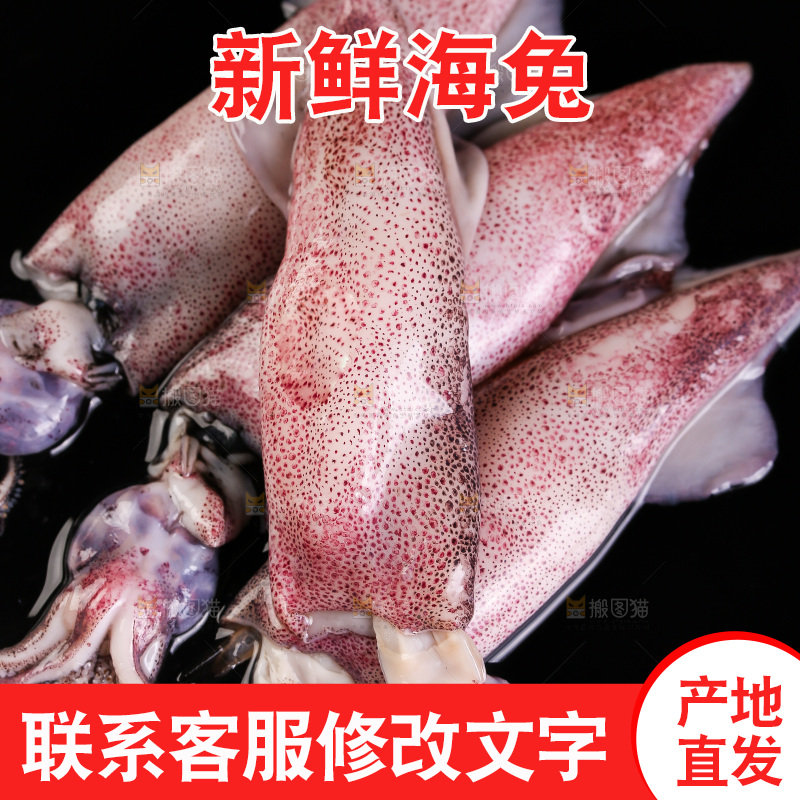 黑底上的海兔
