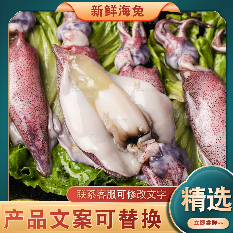 深底上的海兔