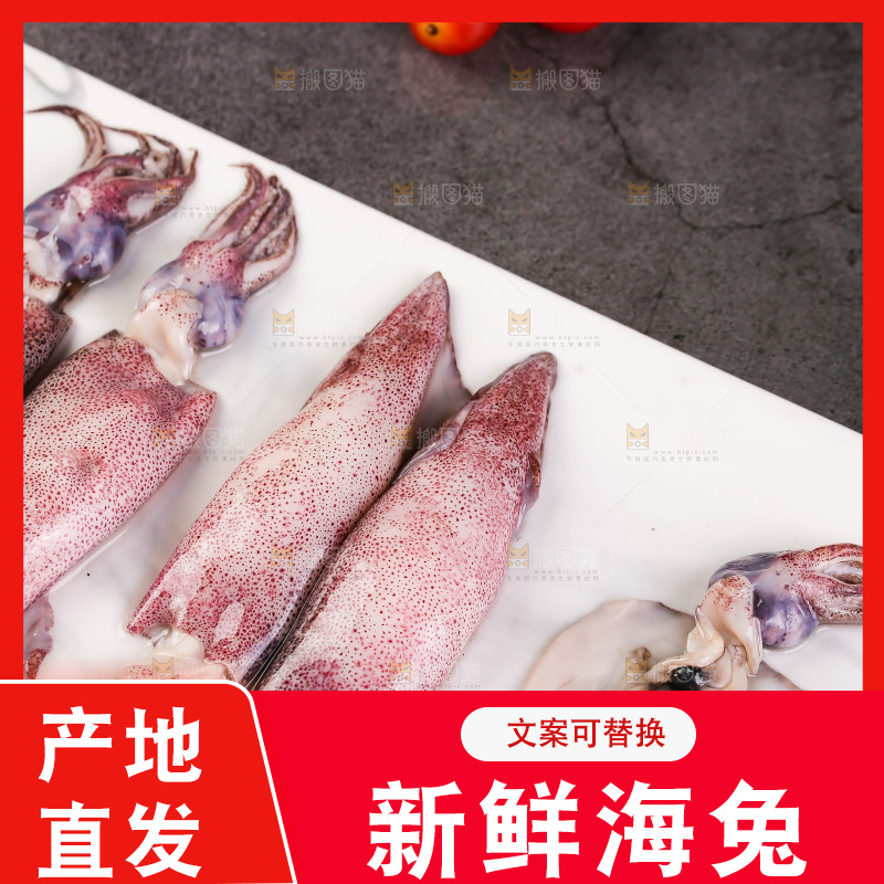 深底上的海兔