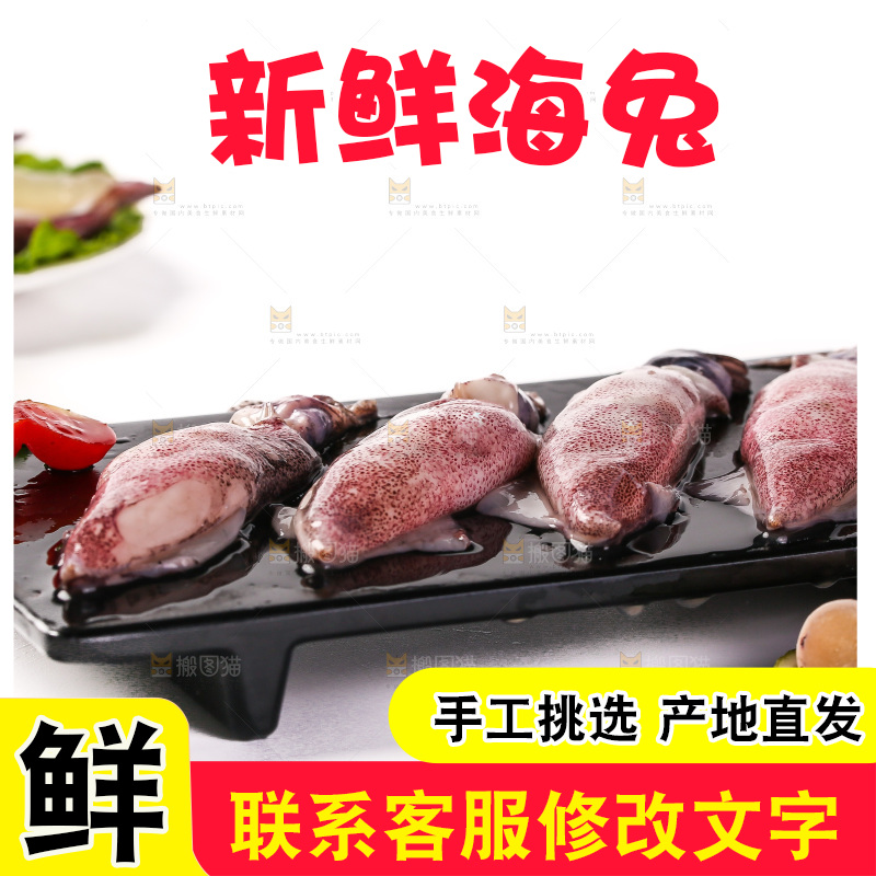 白底上的海兔