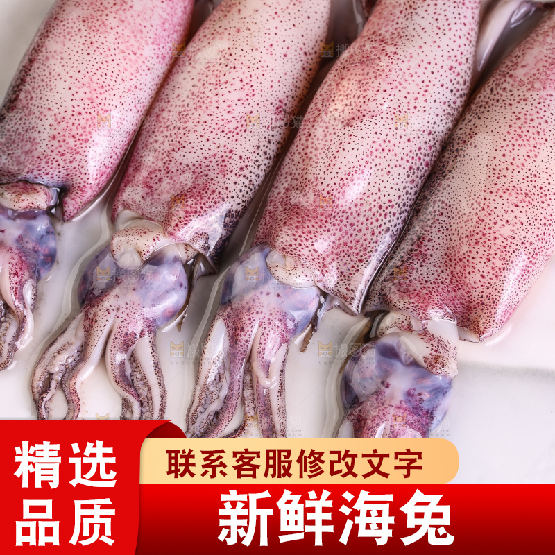 深底上的海兔