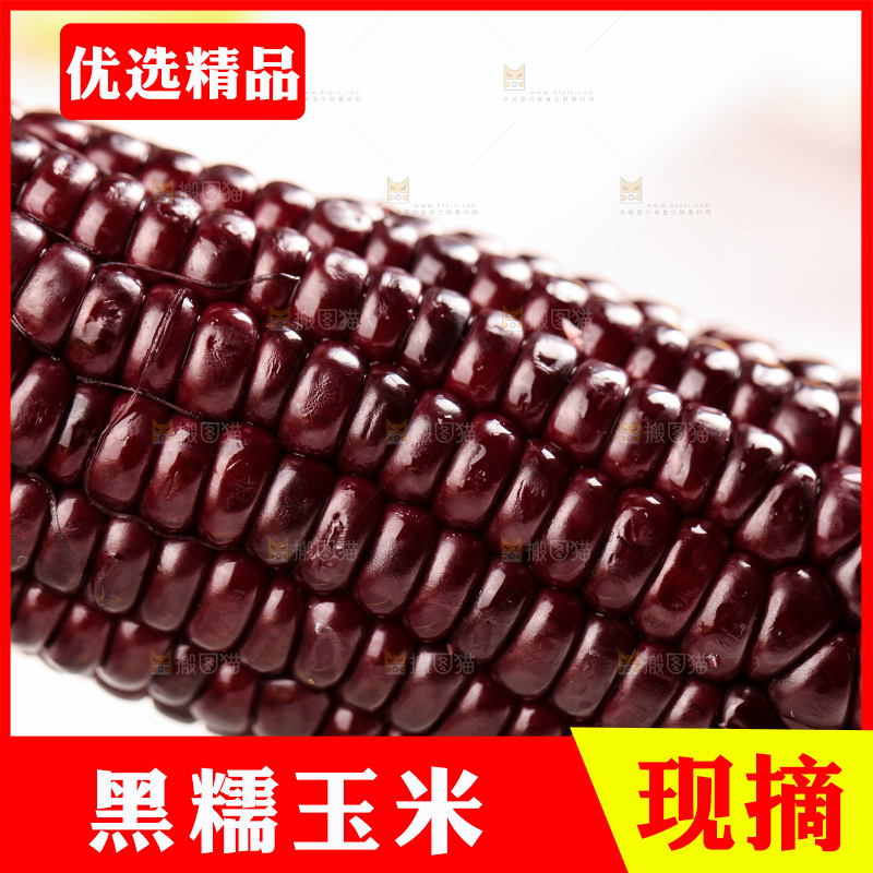 浅底上的黑糯玉米
