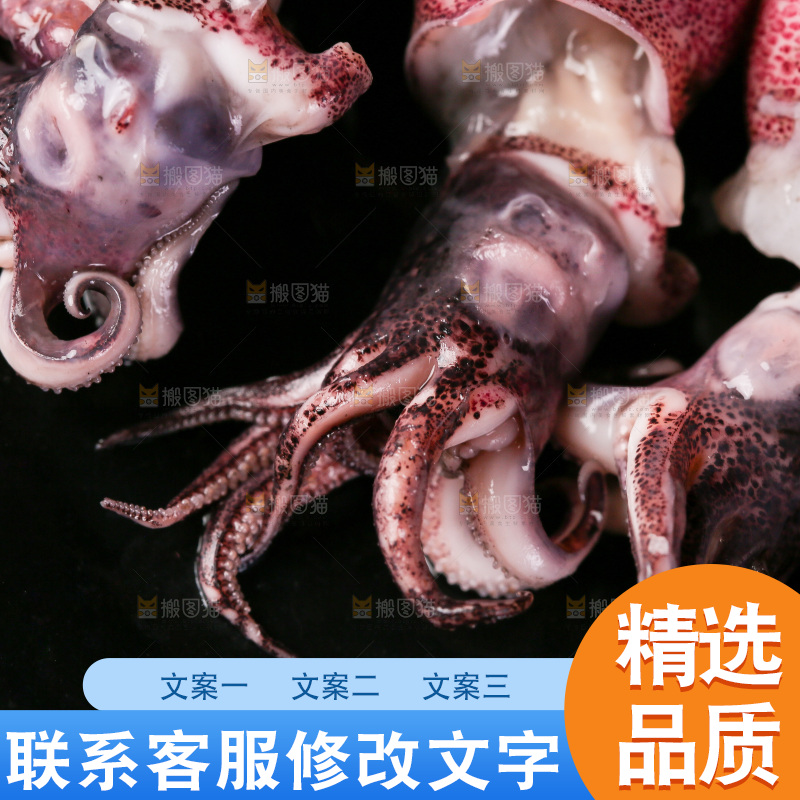 深底上的海兔