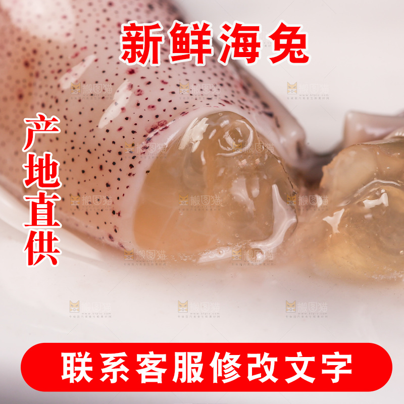 深底上的海兔
