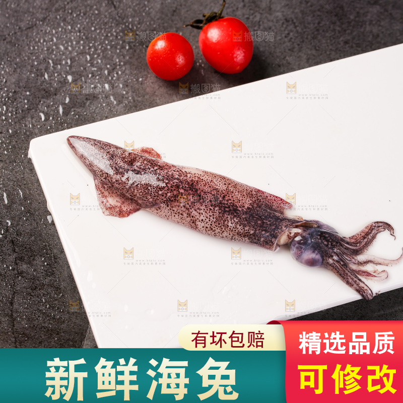 深底上的海兔