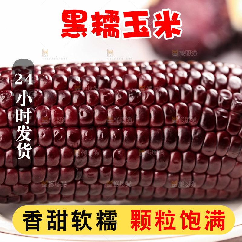 浅底上的黑糯玉米