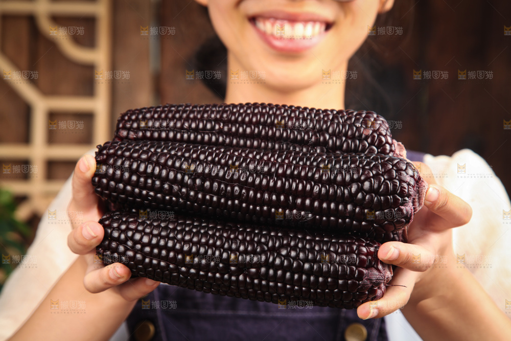 手里拿着黑玉米