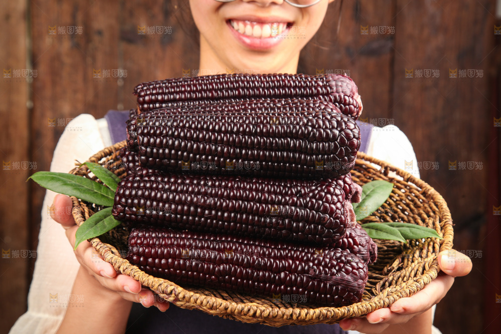 手里拿着黑玉米