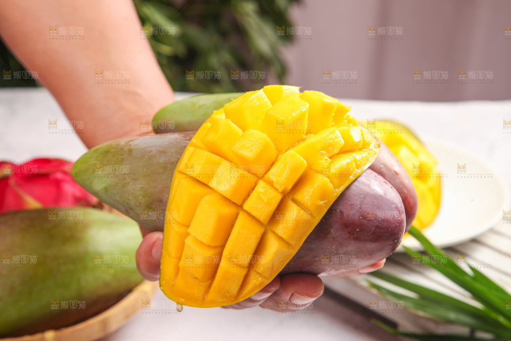 浅底上的贵妃芒