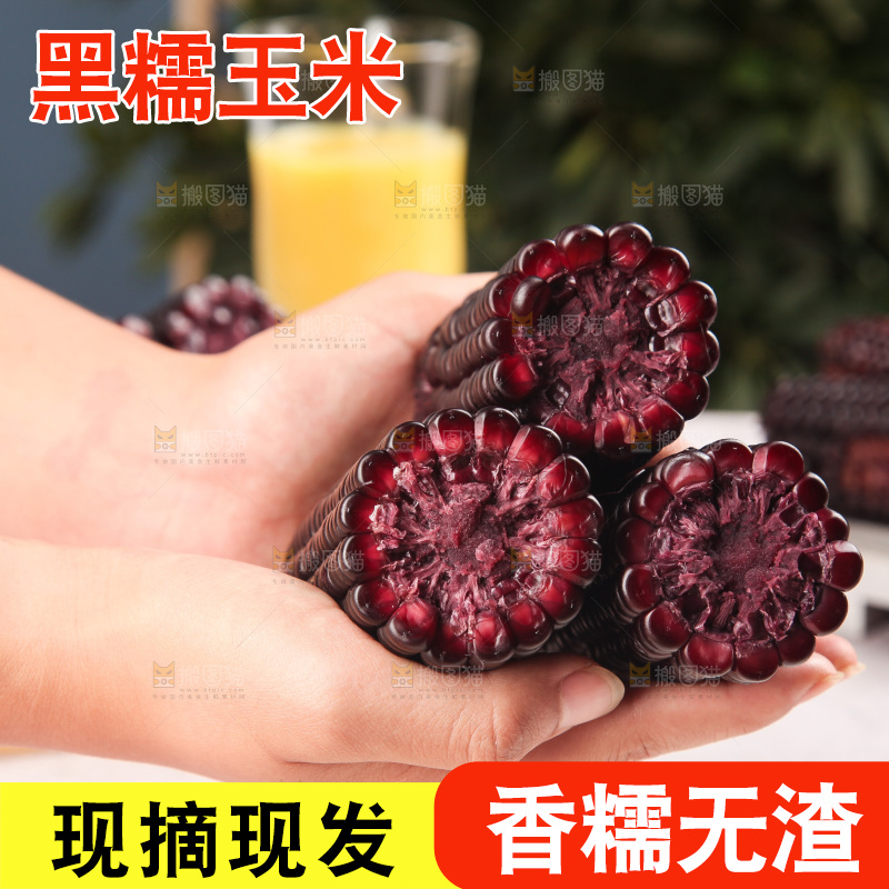 浅底上的黑糯玉米