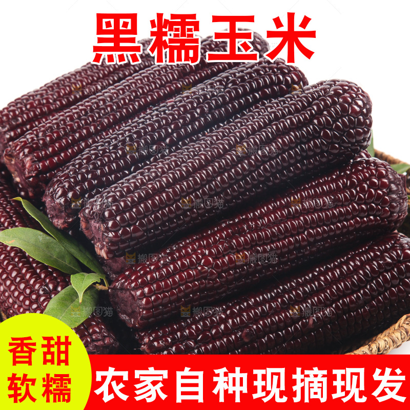 白底上的黑糯玉米