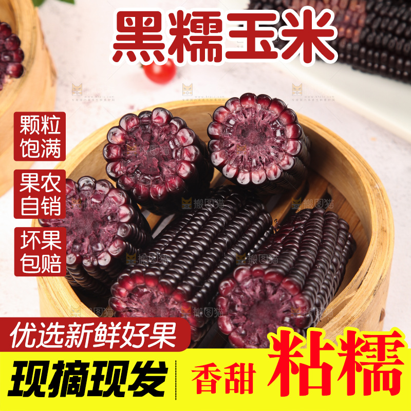 浅底上的黑糯玉米