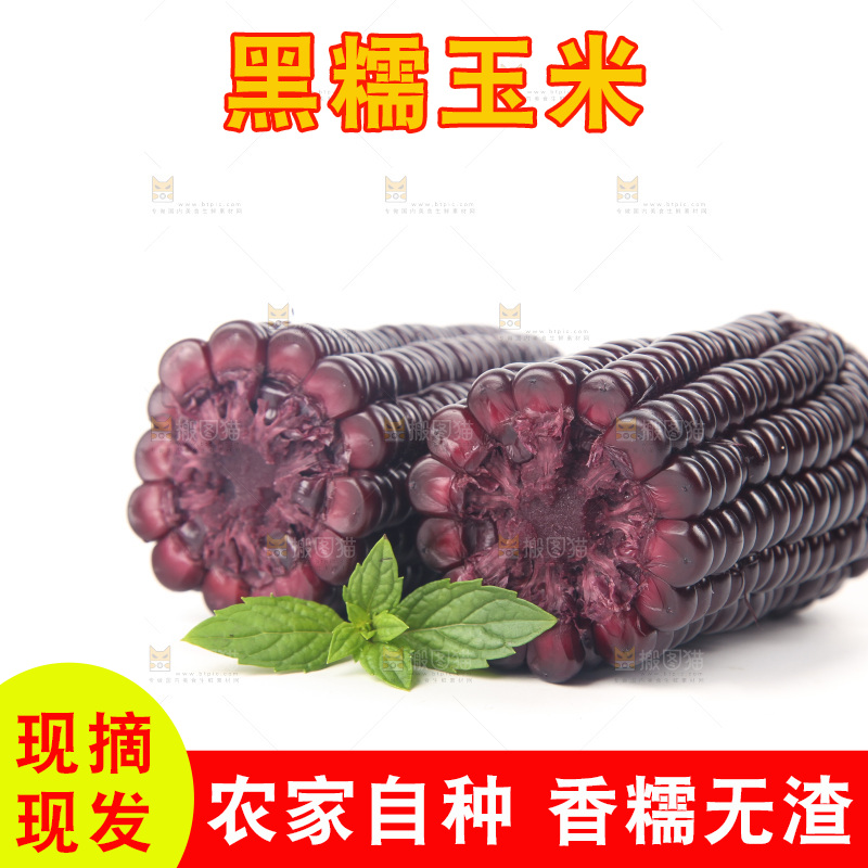 白底上的黑糯玉米