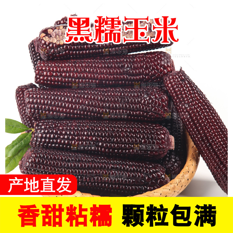 白底上的黑糯玉米