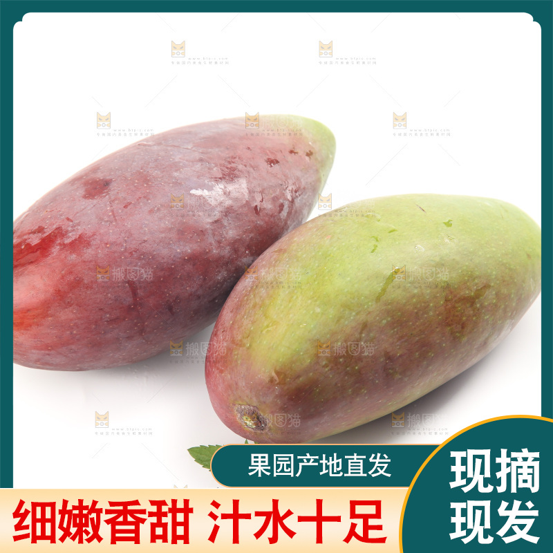 白底上的贵妃芒