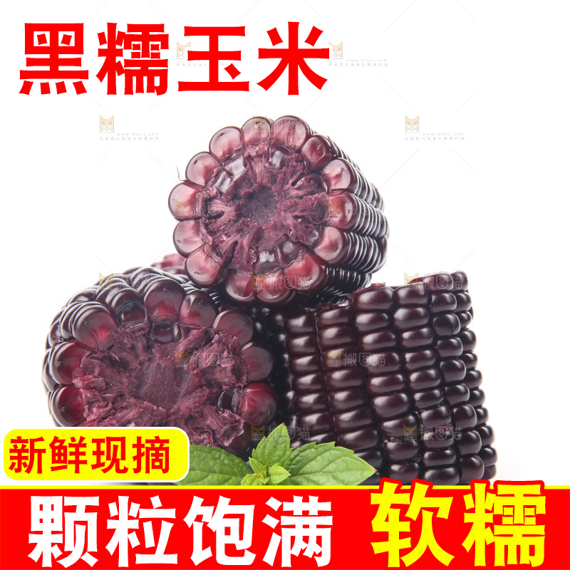 白底上的黑糯玉米