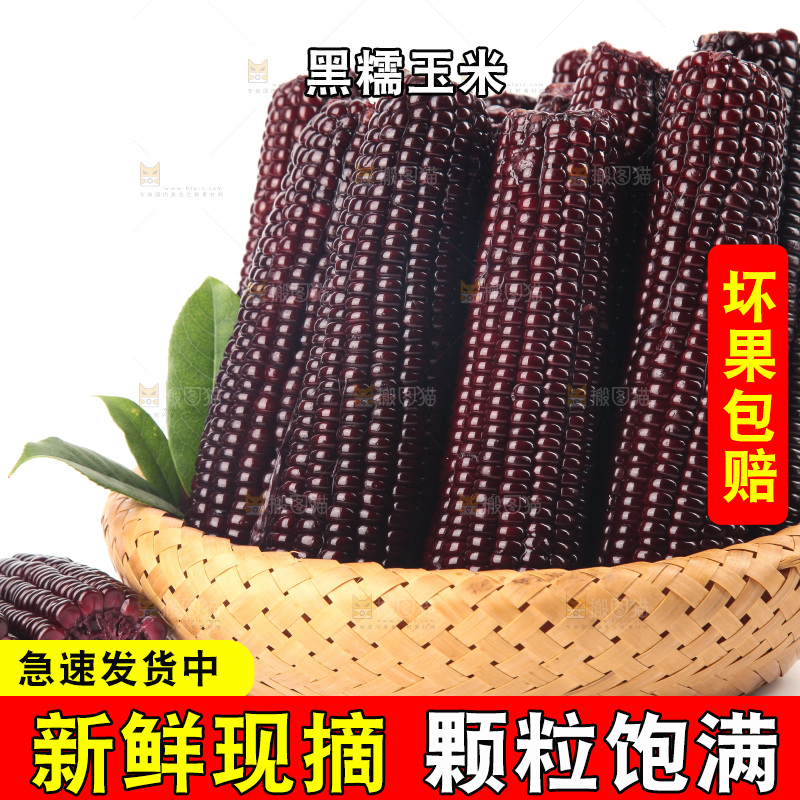 白底上的黑糯玉米