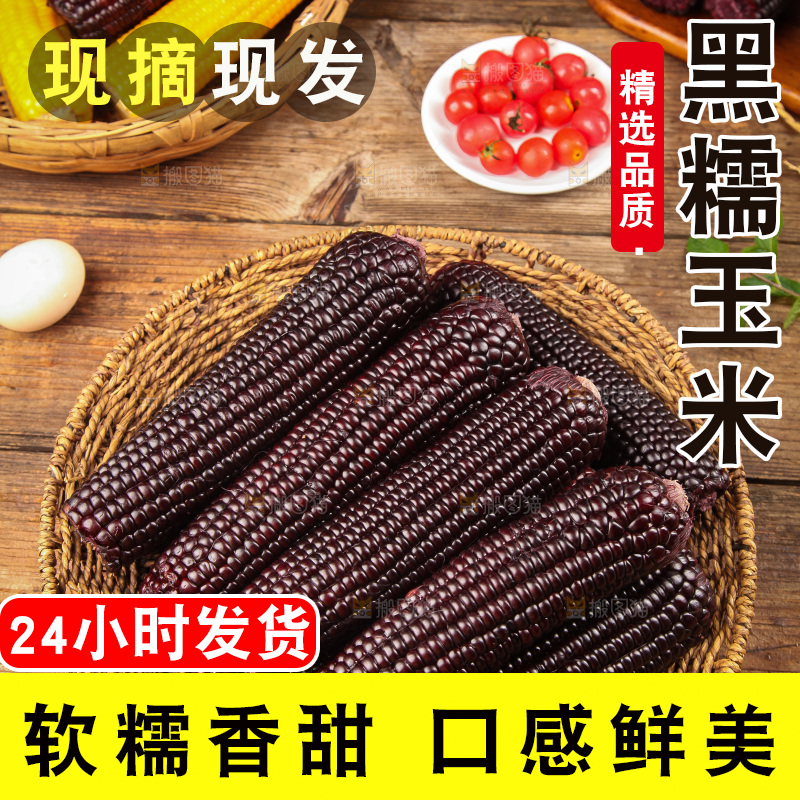 木底上的黑糯玉米
