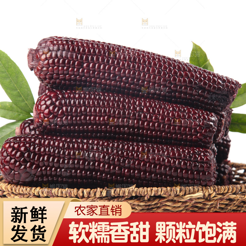白底上的黑糯玉米