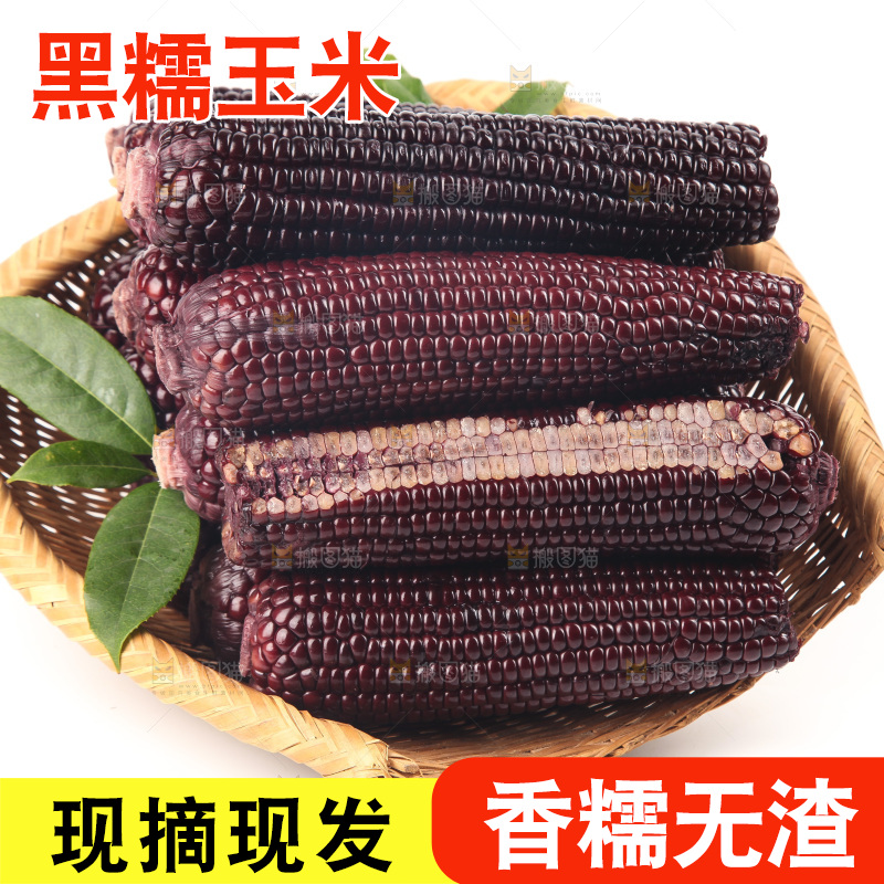 白底上的黑糯玉米