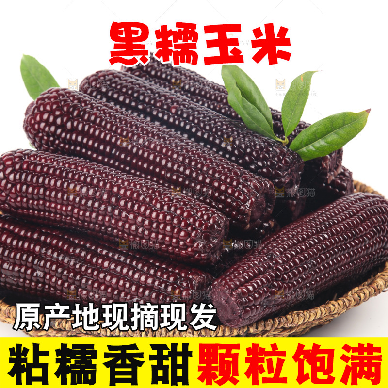 白底上的黑糯玉米