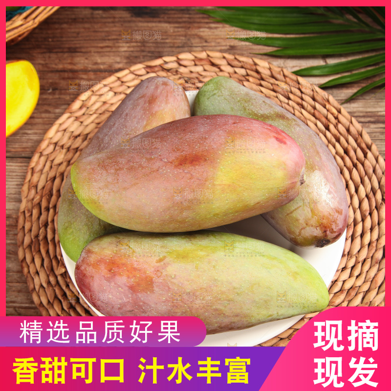 木底上的贵妃芒